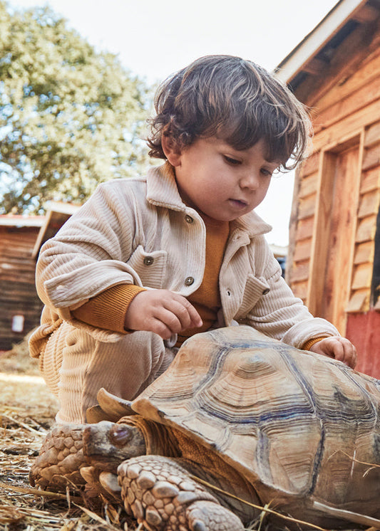 Koszula wierzchnia sztruks - Cereal