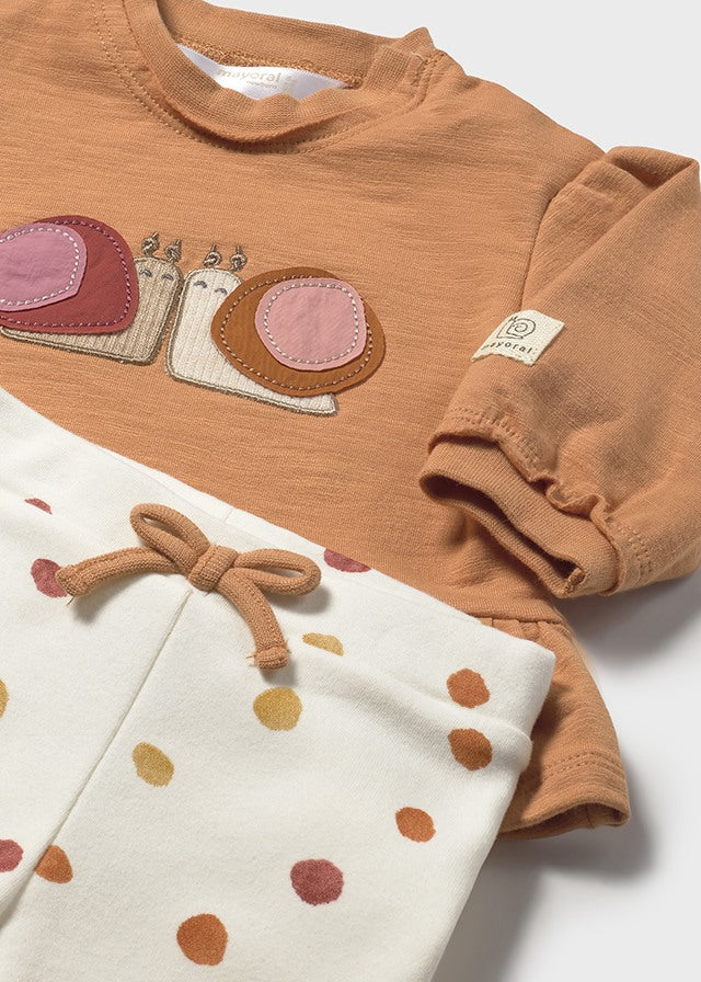 Komplet 4-cz. z legginsami - Cynamon