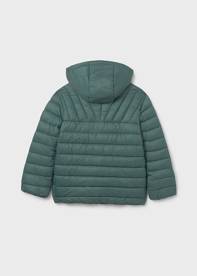 Kurtka pikowana lekka - Sosna